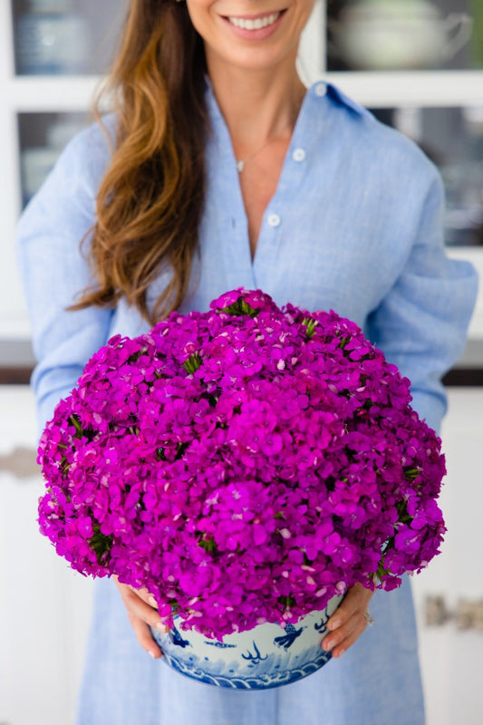 Dianthus Arrangement
