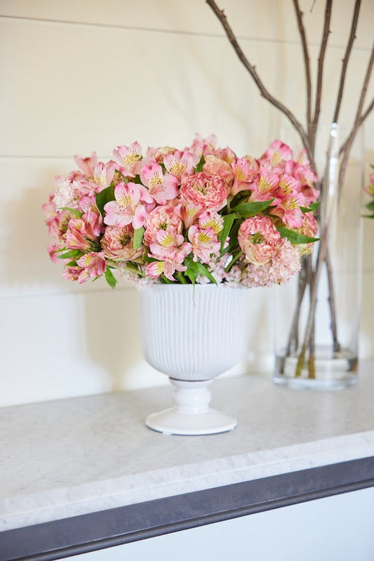 A Fresh Burst of Spring