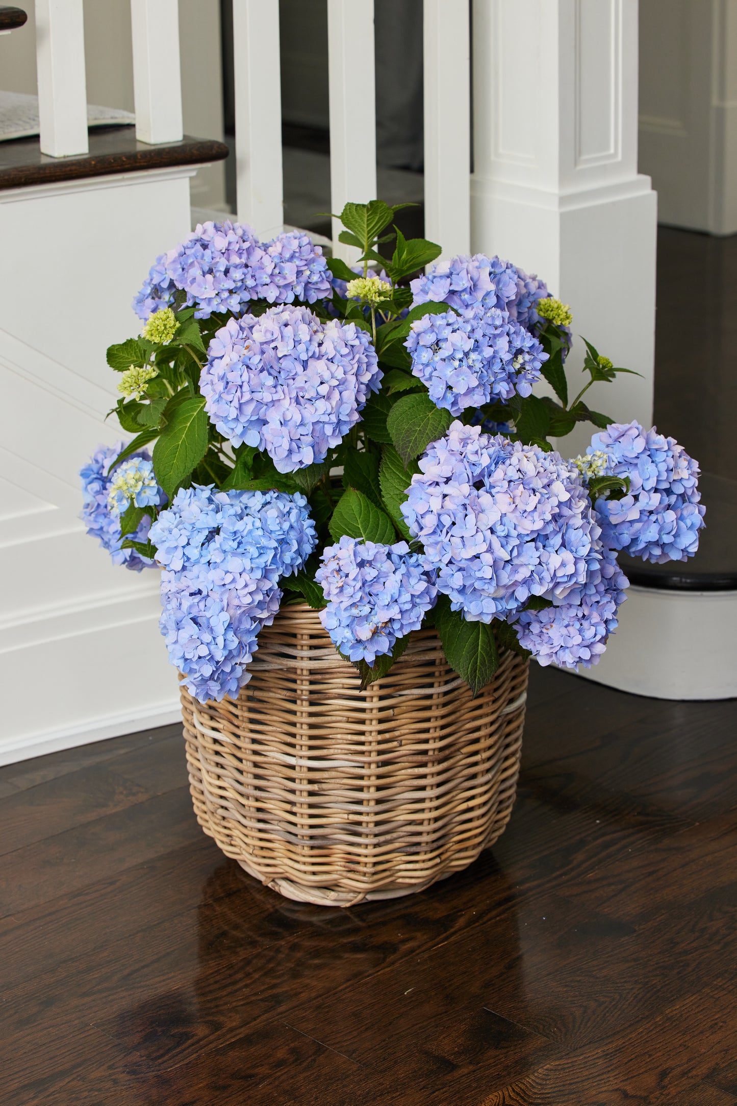 Round Large Rattan Basket