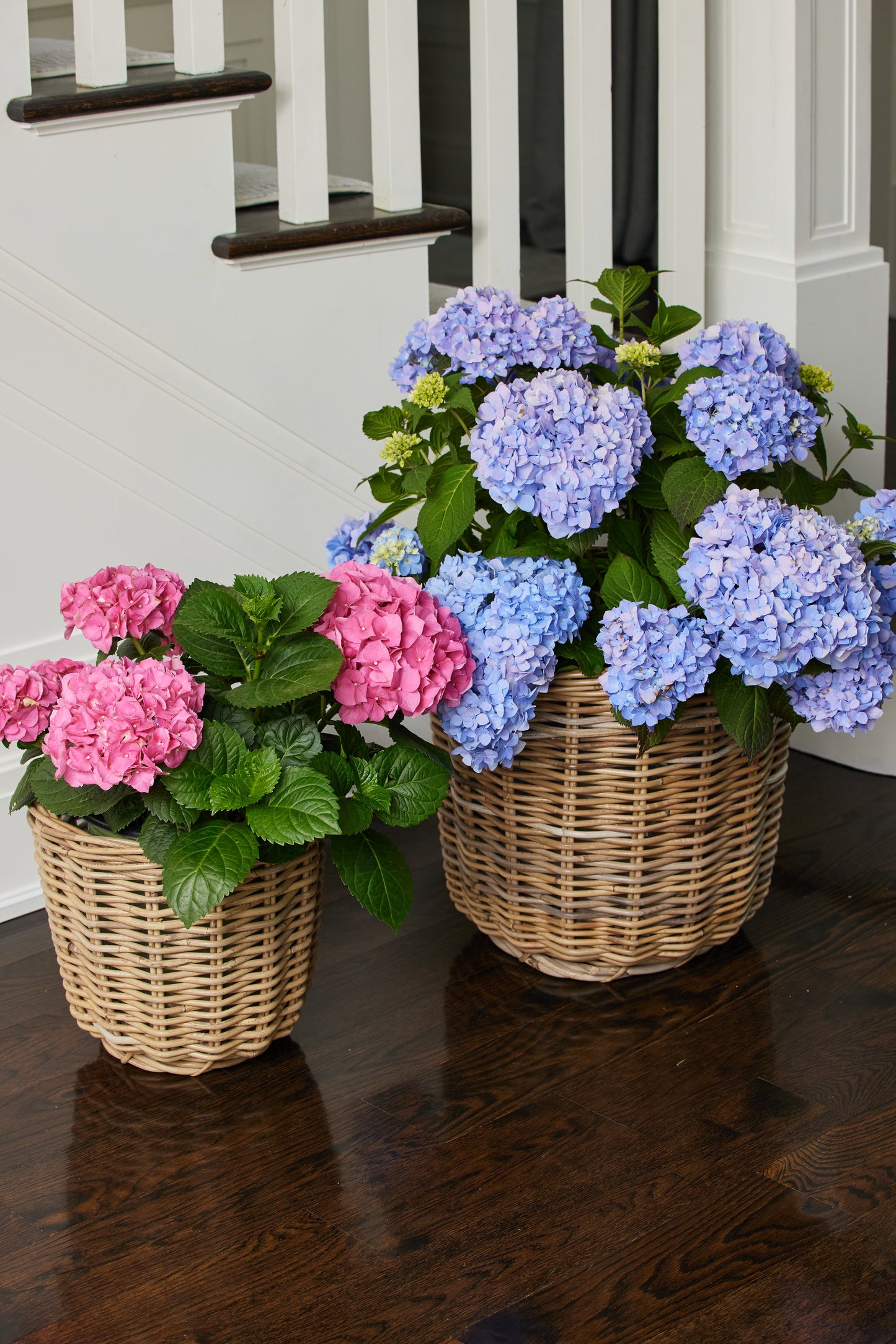Round Medium Rattan Basket