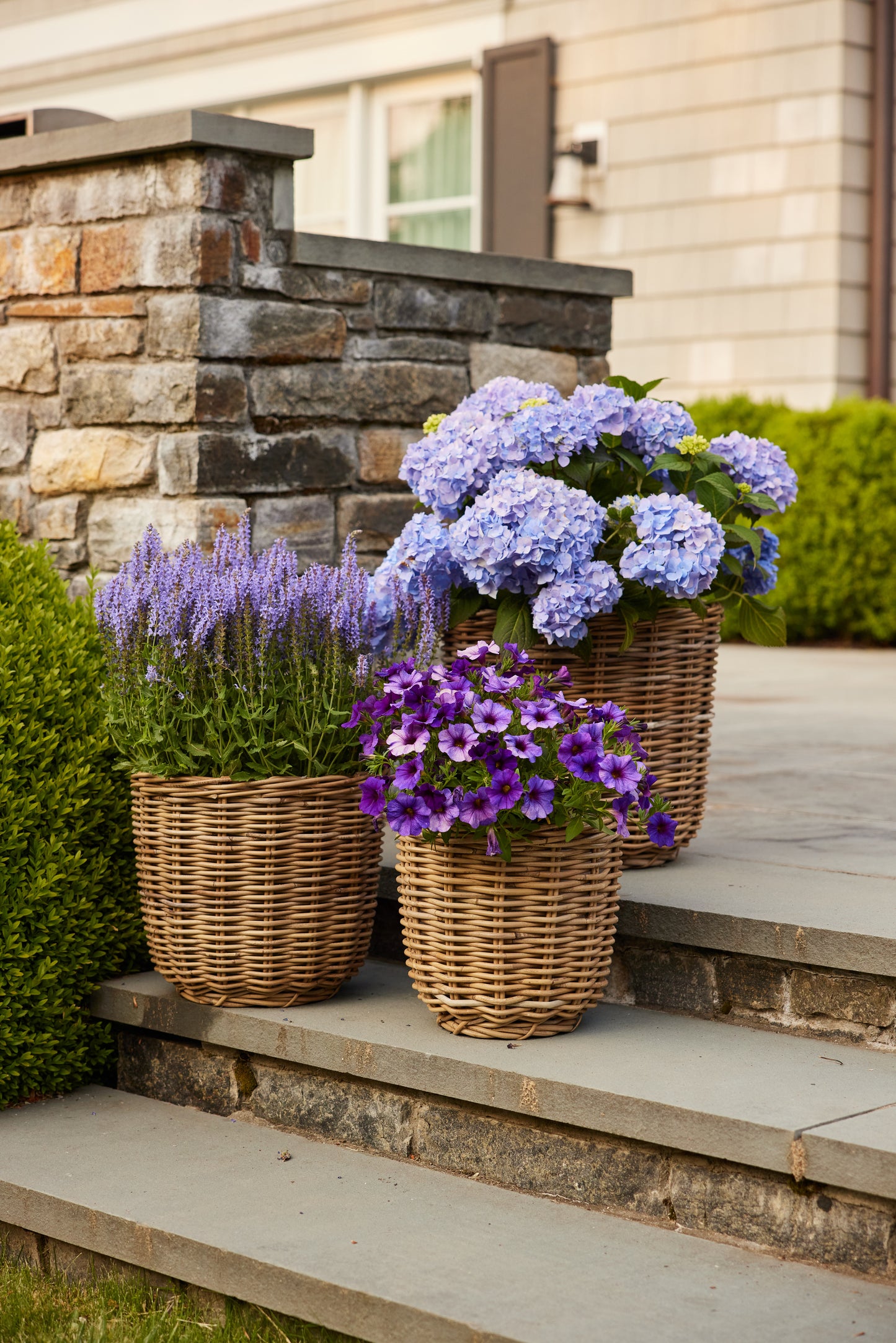 Round Rattan Baskets (Set of 3)