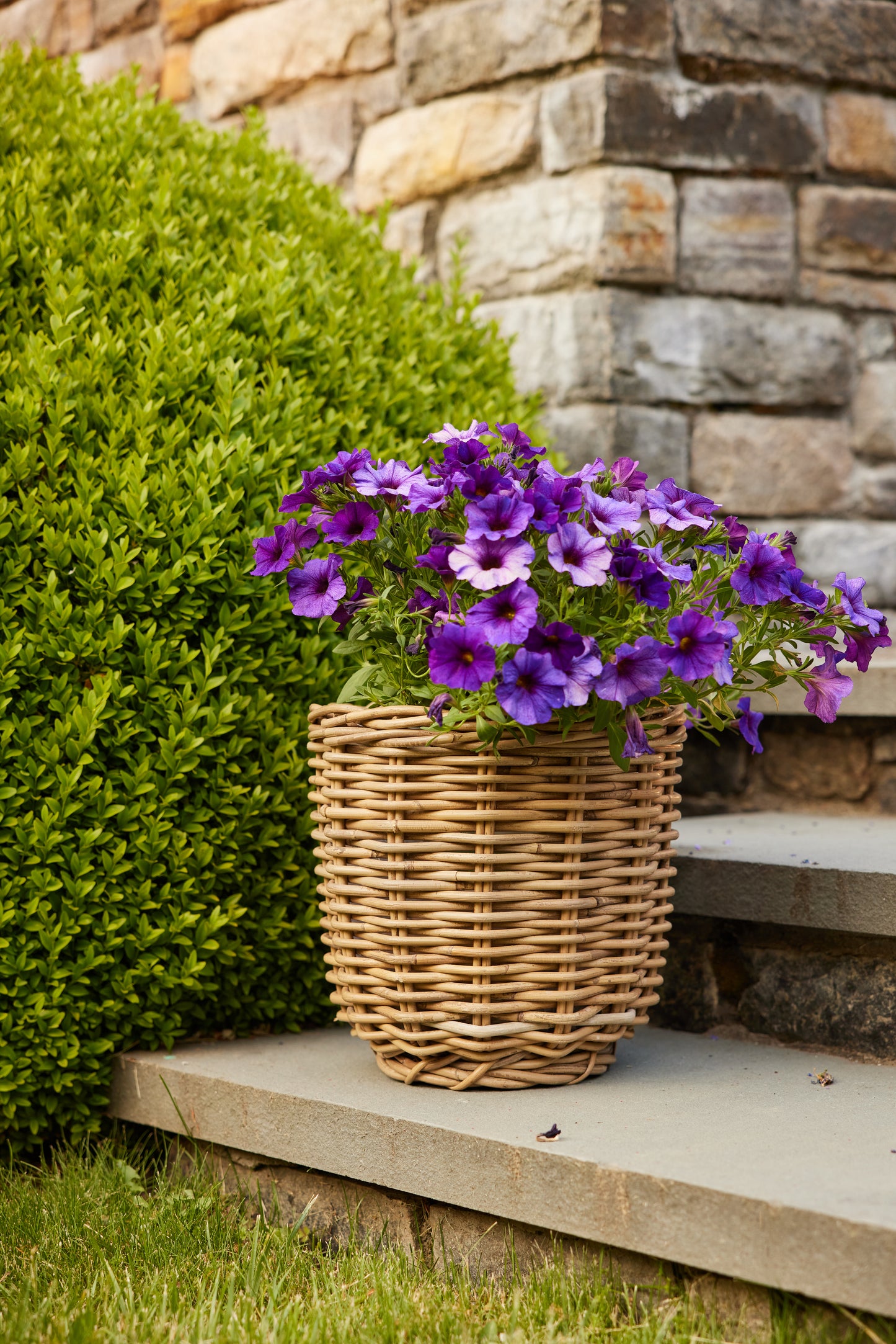 Round Small Rattan Basket