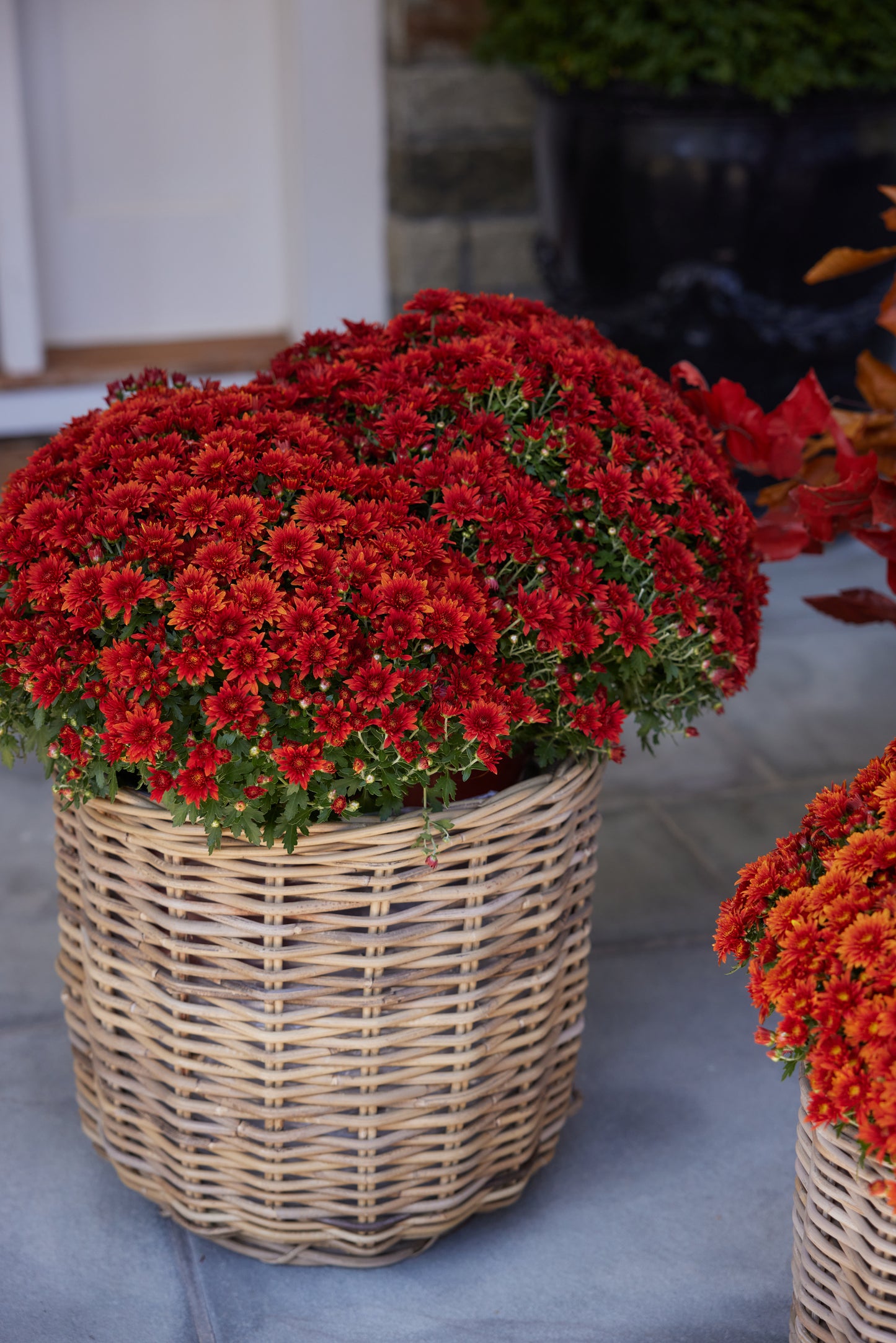 Round Large Rattan Basket