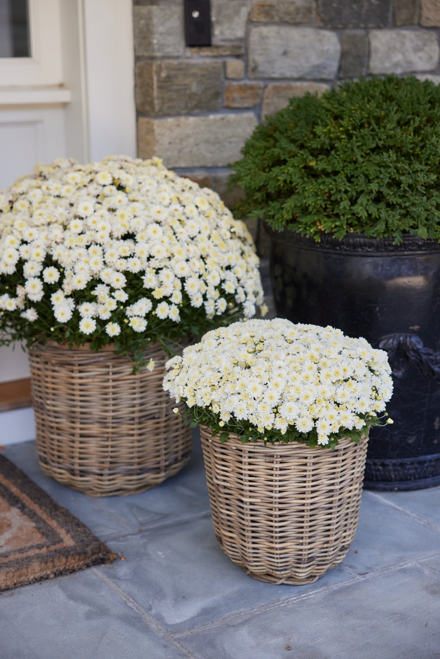 Round Medium Rattan Basket