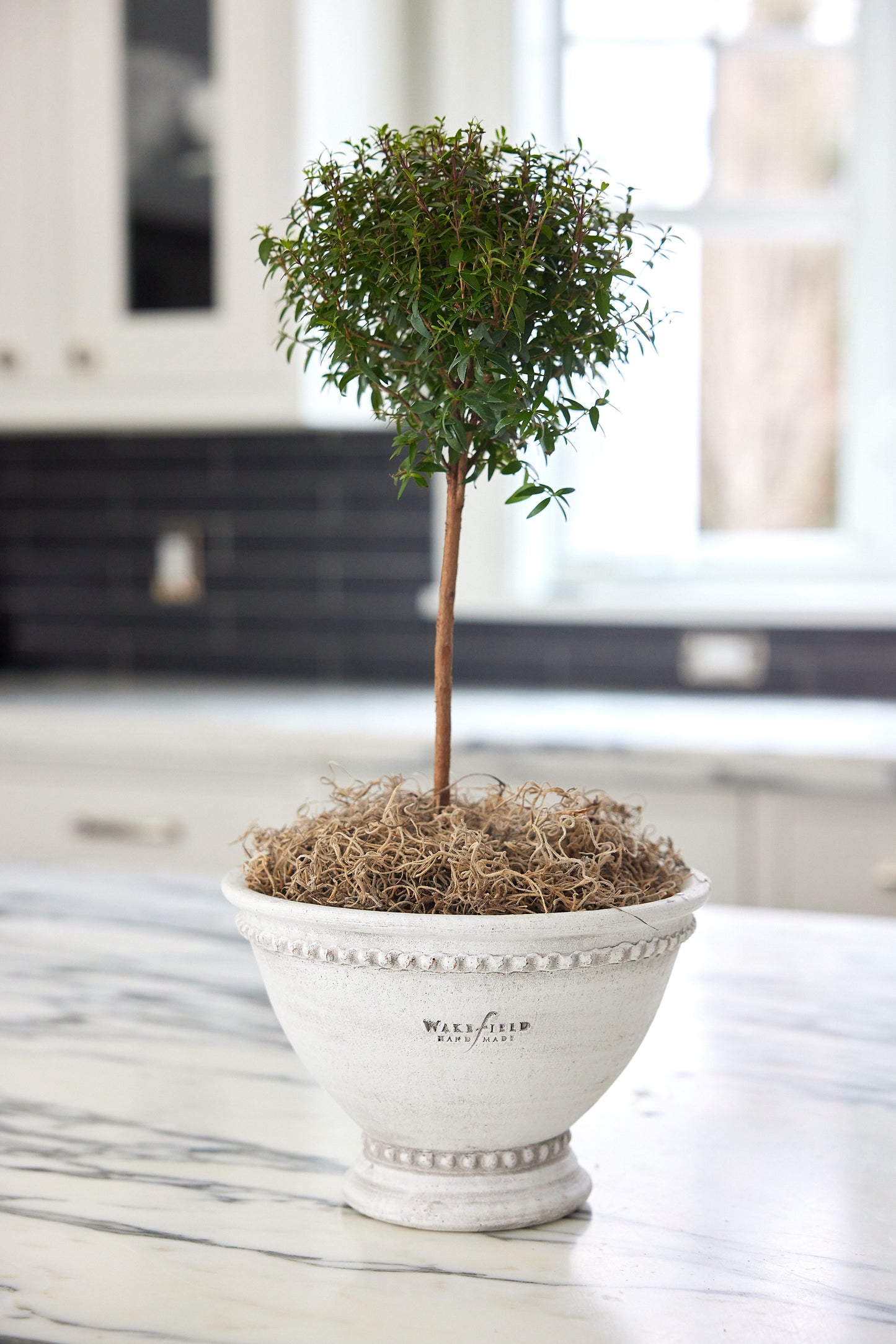 Wakefield Handmade Pedestal Bowl