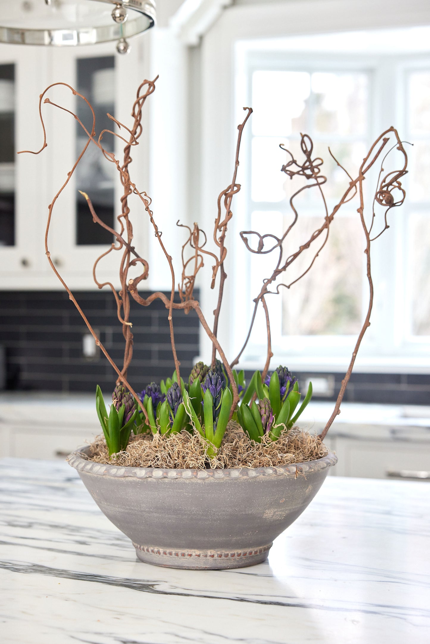 Venice Gray Low Bowl