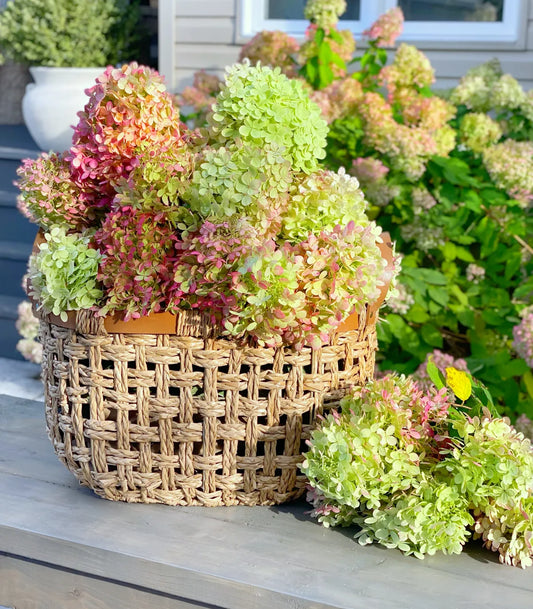 Easy Way to Dry Hydrangeas